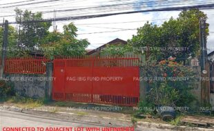 fil5920260616022