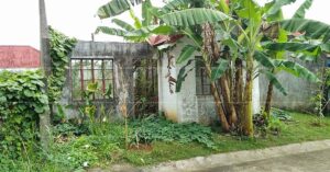 Pag-IBIG ROPA # 870201810260009 - Lot 13 Blk. 11 RUDLIN HOMES SUBDIVISION ABANGO, BARUGO, LEYTE, 6519 - Negotiated Sale on Jun. 22, 2026 - Jun. 26, 2026