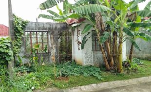 fil6420190402052