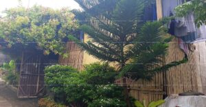 Pag-IBIG ROPA # 864201904290001 - Lot 11 Blk. 9 BAIS HIGHLANDS SUBDIVISION TAMISU, BAIS CITY, NEGROS ORIENTAL, 6206 - Negotiated Sale on Jun. 22, 2026 - Jun. 26, 2026 (Occupied)