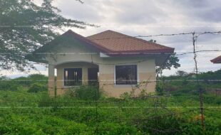 fil6420220511021