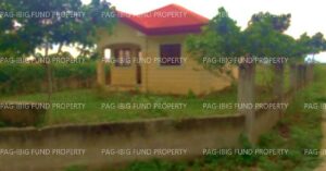 Pag-IBIG Foreclosed Single Detached - Lot 16 Blk. 4 PETER HOMES SUBDIVISION BIO-OS, AMLAN (AYUQUITAN), NEGROS ORIENTAL, 6203 - Negotiated Sale on Jun. 15, 2026 - Jun. 19, 2026