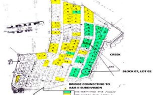 fil6420220727019