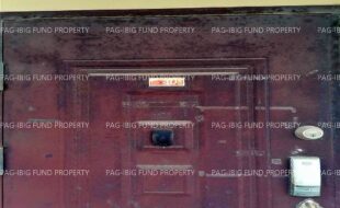 fil6420240716009