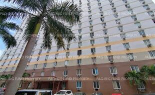 fil6420241106012