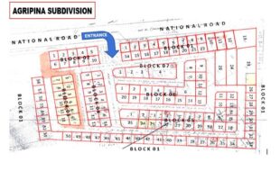 fil6420241202040