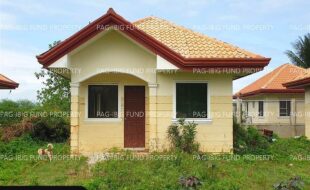 fil6420250307005