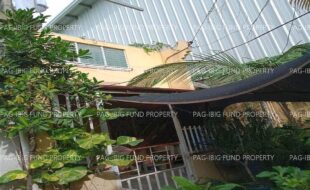 fil6420250311075