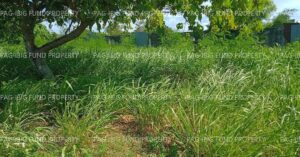 Pag-IBIG ROPA # 867202504300006 - Lot 13 Blk. 1 PACIFIC GRAND VILLAS PHASE 4-A MARIGONDON, LAPU-LAPU CITY (OPON), CEBU, 6015 - 2nd Public Auction on Jul. 6, 2026 - Jul. 10, 2026