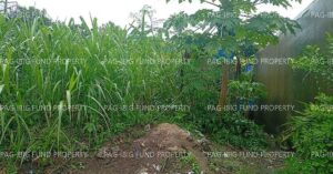 Pag-IBIG ROPA # 870202507290002 - Lot 5 Blk. 40 PEERLESS VILLAGE BARANGAY 93 (BAGACAY), TACLOBAN CITY, LEYTE, 6500 - 2nd Public Auction on Jul. 6, 2026 - Jul. 10, 2026