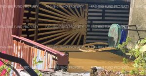 Pag-IBIG ROPA # 864202503310002 - Lot 10 Blk. 13 Phase 2 VILLA PURITA HILLS SUBDIVISION TUBOD, MINGLANILLA, CEBU, 6046 - 2nd Public Auction on Jul. 6, 2026 - Jul. 10, 2026 (Occupied)