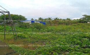 fil6420251031017
