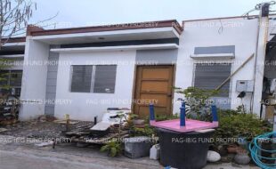 fil6420251222103