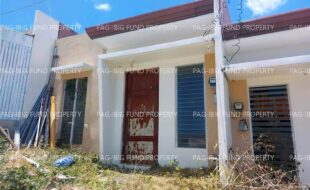 fil6420260422006