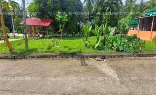 fil6420260520058
