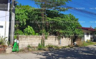 fil6420260617013