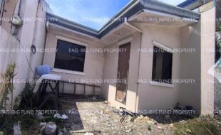 fil6420260618020