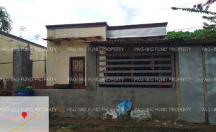 fil7620241106016
