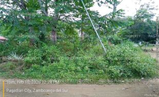 fil7620260216009