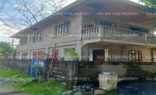 fil8220230304018