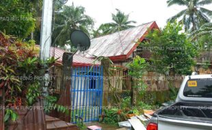 fil8220240301032