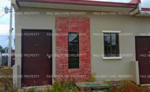 fil8220241112019