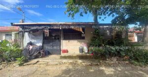 Pag-IBIG ROPA # 883202503280001 - Lot 5 Blk. 1 TROPICAL HEIGHTS SUBD. BAYUGAN 2, SAN FRANCISCO, AGUSAN DEL SUR, 8501 - Negotiated Sale on Jun. 22, 2026 - Jun. 26, 2026 (Occupied)