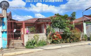 fil8220260413003
