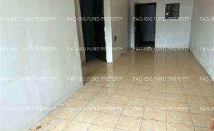 fil8220260520008