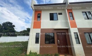 fil8220260526001