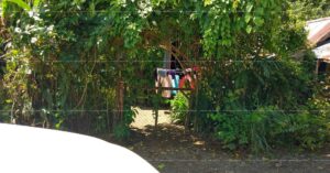 Pag-IBIG ROPA # 809018112200153 - Lot 11 Blk. 6 STANFILCO SUBDIVISION LUNA, KAPALONG, DAVAO DEL NORTE, 8113 - Negotiated Sale on Jun. 22, 2026 - Jun. 26, 2026 (Occupied)