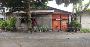 Pag-IBIG ROPA # 809419063000058 - Lot 7 Blk. 7 LEONORA HOMES SAMPAO, ISULAN (CAPITAL), SULTAN KUDARAT, 9805 - Negotiated Sale on Jun. 22, 2026 - Jun. 26, 2026 (Occupied)