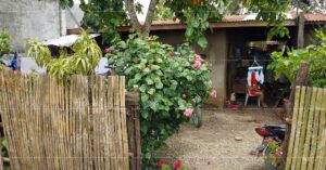 Pag-IBIG ROPA # 809018081500103 - Lot 22 Blk. 22 VILLA CLEMENTA SUBDIVISION MANIKI (POBLACION), KAPALONG, DAVAO DEL NORTE, 8113 - Negotiated Sale on Jun. 22, 2026 - Jun. 26, 2026 (Occupied)