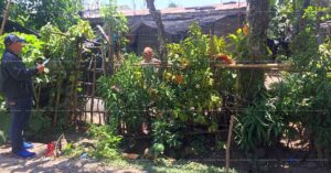 Pag-IBIG ROPA # 809019022800057 - Lot 34 Blk. 21 VILLA CLEMENTA SUBDIVISION MANIKI (POBLACION), KAPALONG, DAVAO DEL NORTE, 8113 - Negotiated Sale on Jun. 22, 2026 - Jun. 26, 2026 (Occupied)