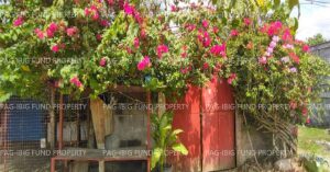 Pag-IBIG ROPA # 809419063000040 - Lot 1526-B-2-C NON SUBDIVISION TAMBUNAN II, GUINDULUNGAN, MAGUINDANAO, 9612 - Negotiated Sale on Jun. 22, 2026 - Jun. 26, 2026 (Occupied)