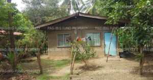 Pag-IBIG ROPA # 809018112200066 - Lot 14 Blk. 1 STANFILCO SUBDIVISION LUNA, KAPALONG, DAVAO DEL NORTE, 8113 - Negotiated Sale on Jun. 22, 2026 - Jun. 26, 2026 (Occupied)