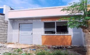 fil8820240212012