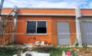 fil8820240212013