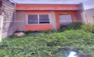 fil8820240212021