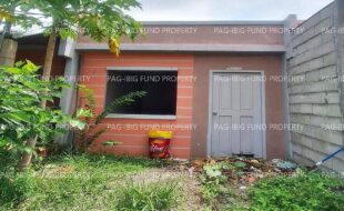 fil8820240212026