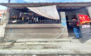 fil8820240212049