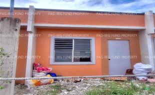 fil8820240212074
