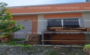 fil8820240212085