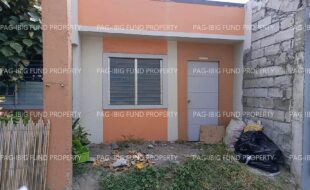 fil8820240325036