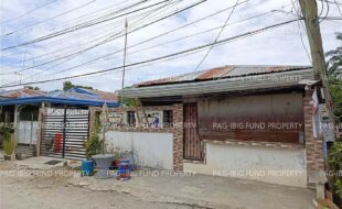 fil8820240411028