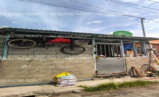 fil8820240613016