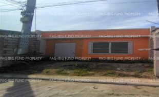 fil8820240618031
