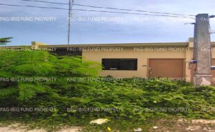 fil8820240706074