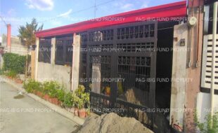 fil8820240725013