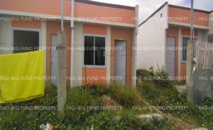 fil8820250103018